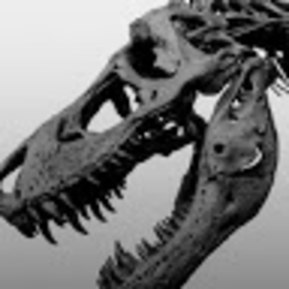 Meet your Posher, Chelsea - Picture 1 of 1